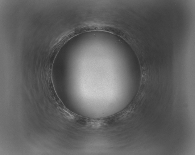 X0000076061157200610201941