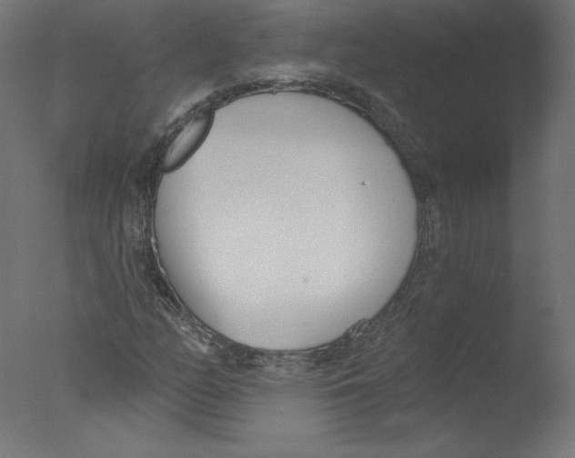 X0000076061158200610201940