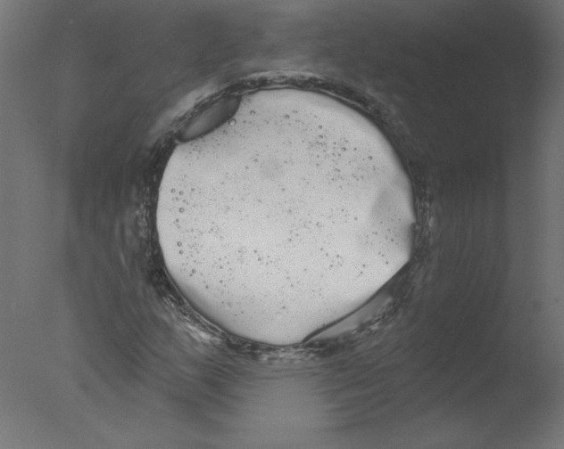 X0000076061159200610201940