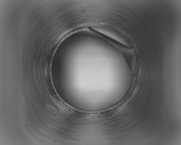 X0000076061161200610201940