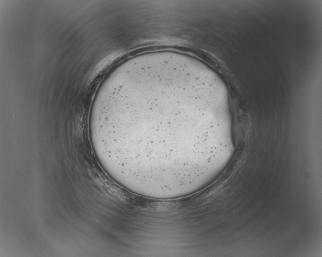 X0000076061163200610201940