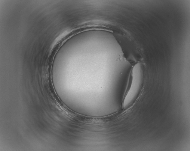 X0000076061164200610201940