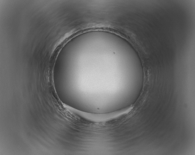 X0000076061165200610201940