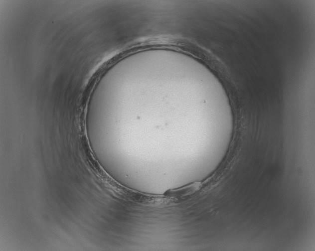 X0000076061166200610201940