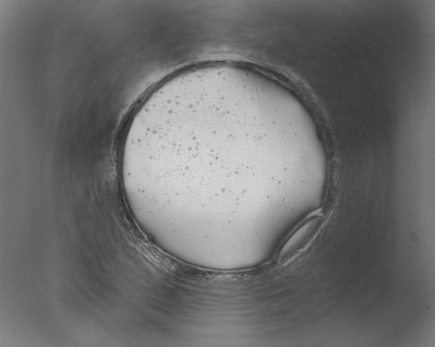 X0000076061167200610201940