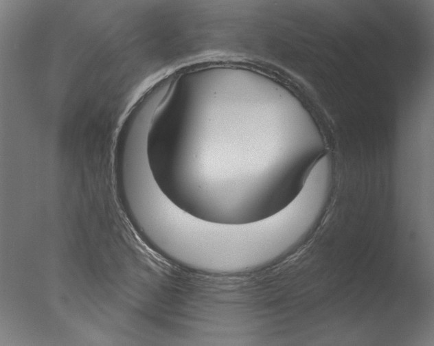 X0000076061168200610201940