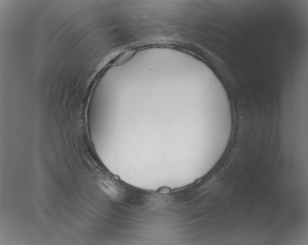 X0000076061170200610201940