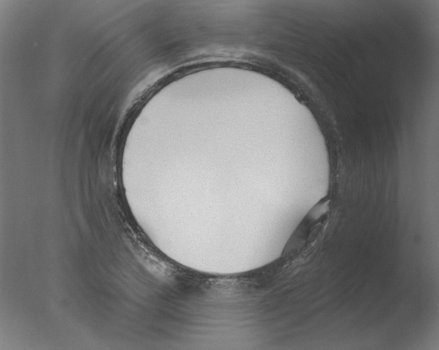 X0000076061172200610201940