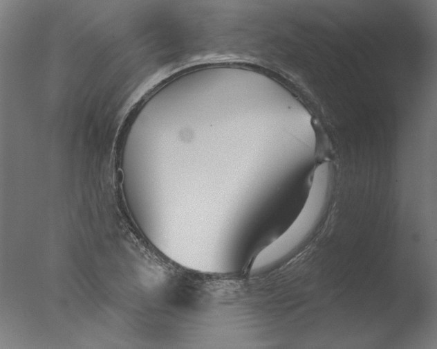 X0000076061173200610201940