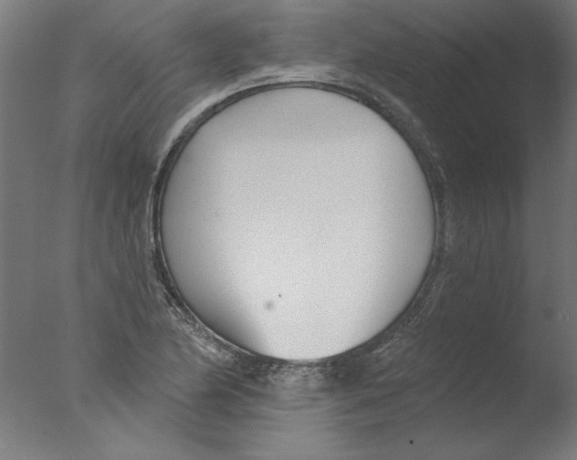 X0000076061174200610201940