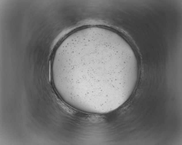 X0000076061175200610201940