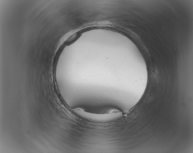 X0000076061176200610201940