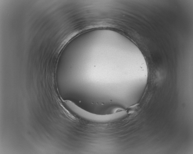 X0000076061177200610201940