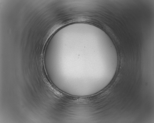 X0000076061178200610201940