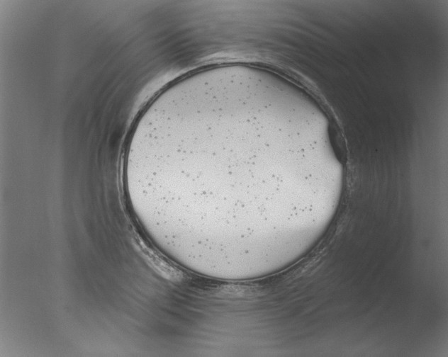 X0000076061179200610201940