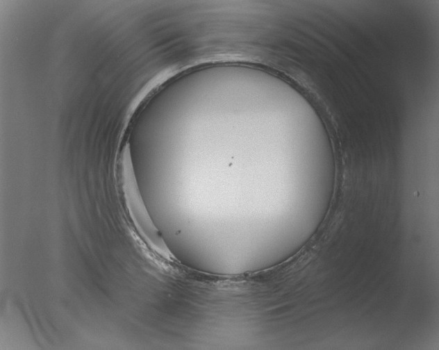 X0000076061181200610201940