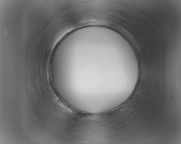 X0000076061182200610201940