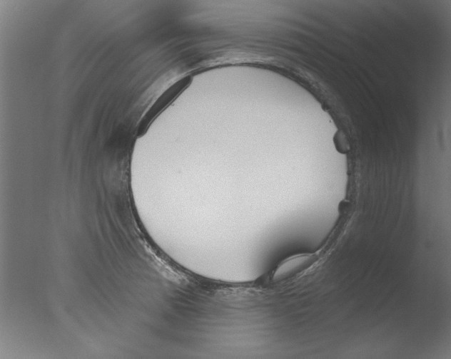 X0000076061185200610201940