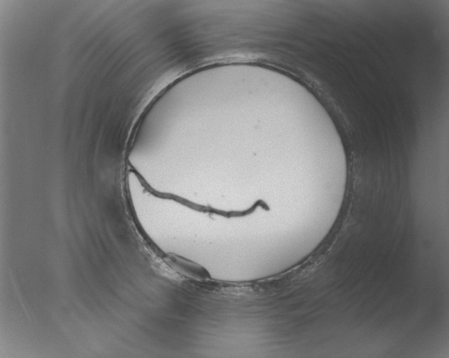 X0000076061186200610201940