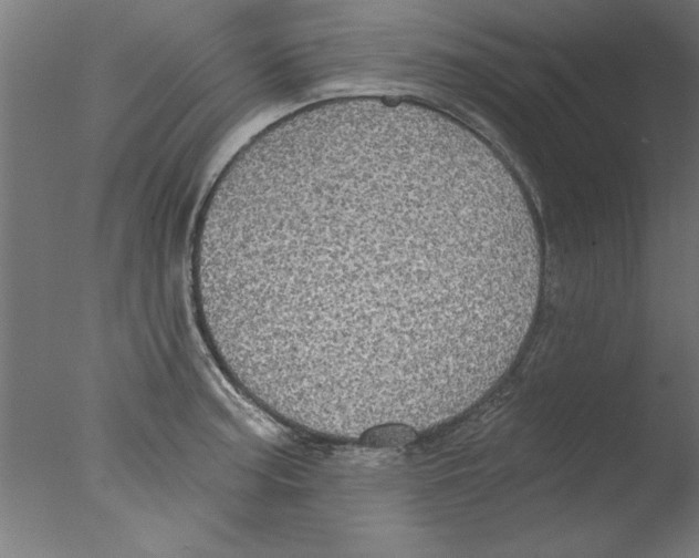 X0000076061187200610201940