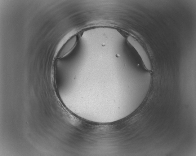 X0000076061188200610201940