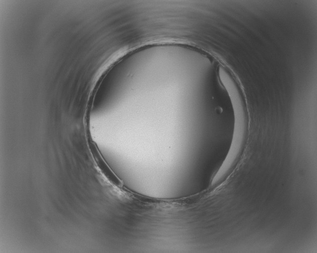 X0000076061189200610201940