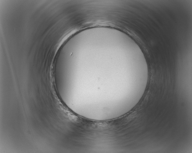 X0000076061190200610201940