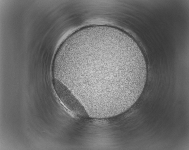 X0000076061191200610201940