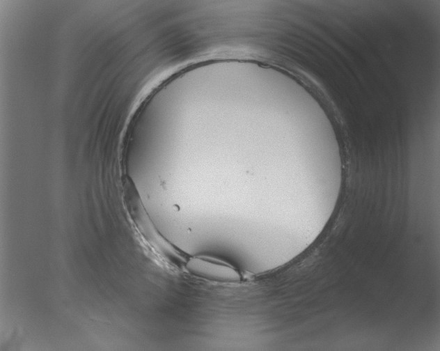 X0000076061192200610201940