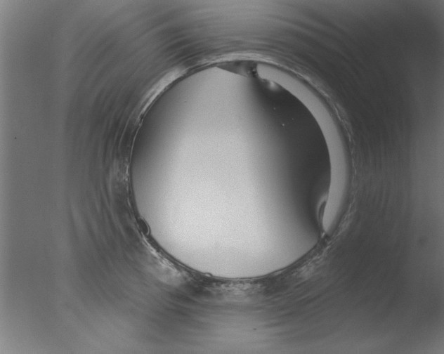 X0000076061193200610201940