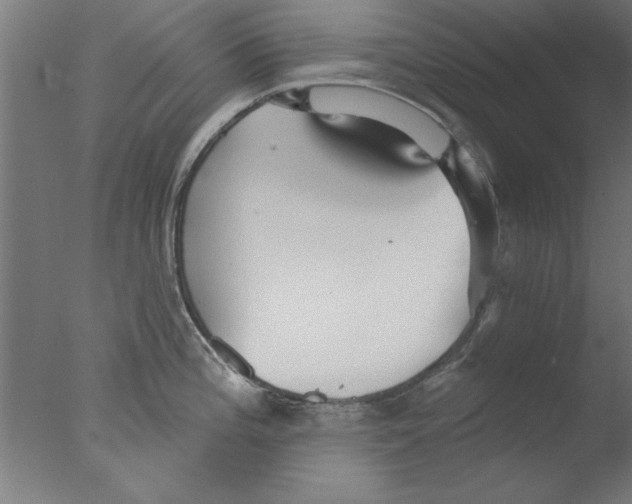 X0000076061196200610201940