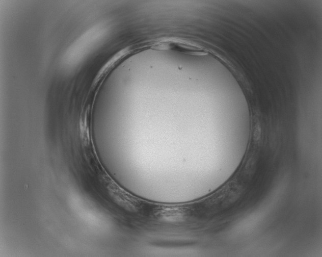 X0000076061198200610201940