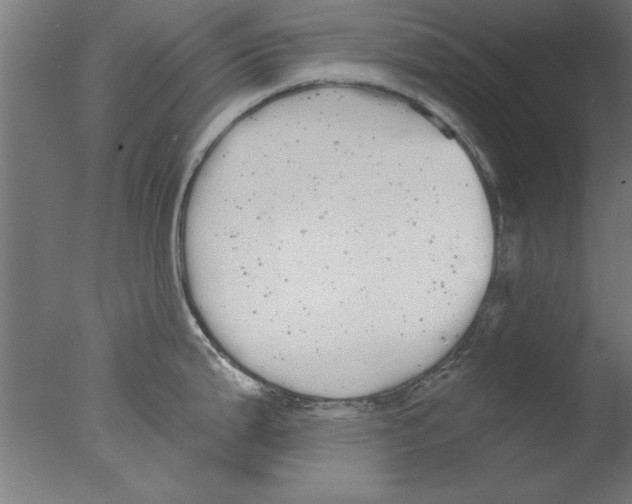 X0000076061199200610201940