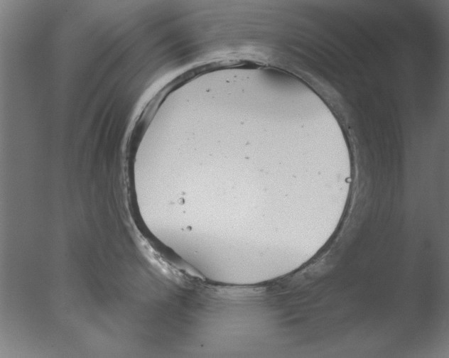 X0000076061200200610201940