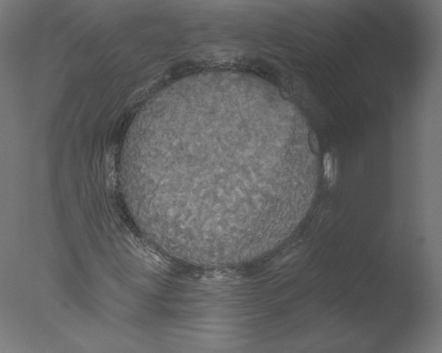 X0000076061203200610201939