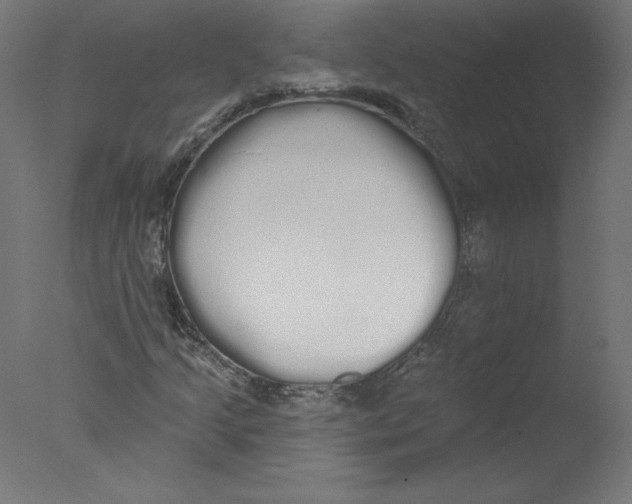 X0000076061205200610201939