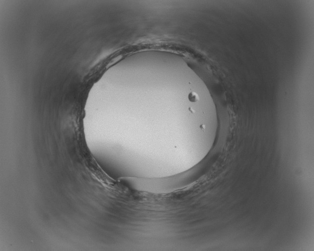 X0000076061206200610201939