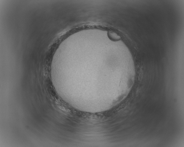 X0000076061207200610201939