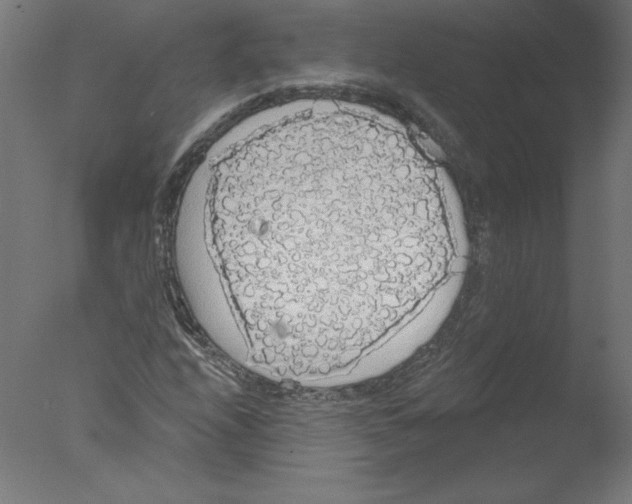 X0000076061208200610201939