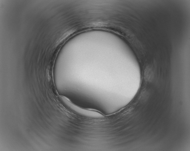 X0000076061209200610201939