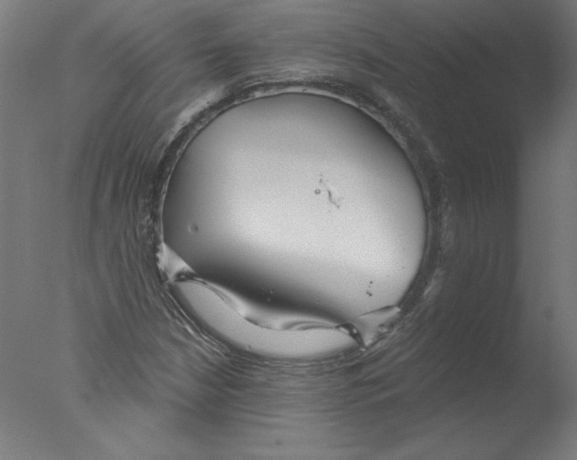 X0000076061210200610201939