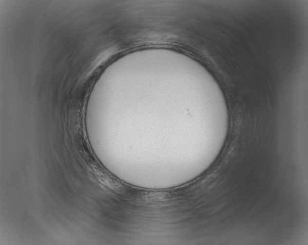 X0000076061211200610201939