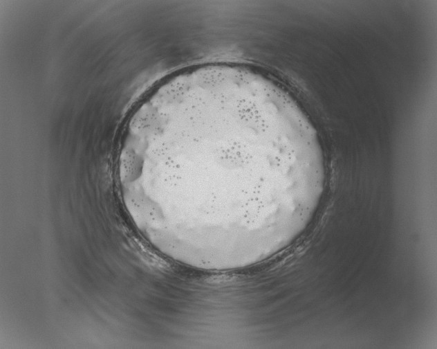 X0000076061212200610201939