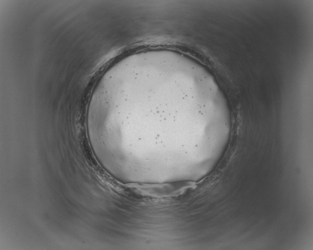 X0000076061213200610201939