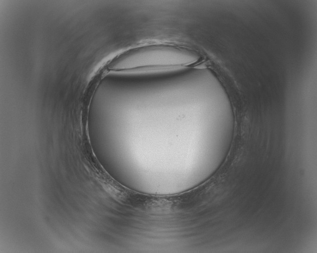 X0000076061214200610201939