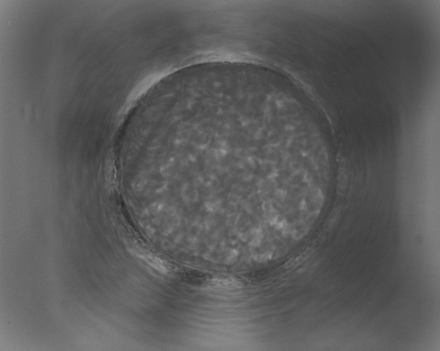 X0000076061215200610201939