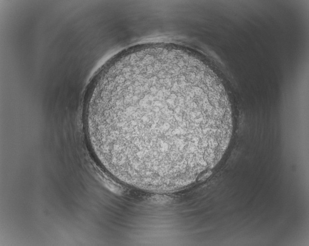 X0000076061216200610201939