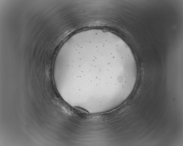 X0000076061217200610201939