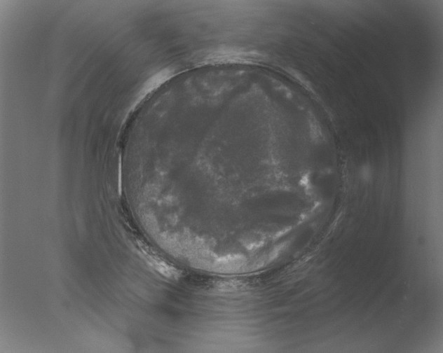 X0000076061219200610201939