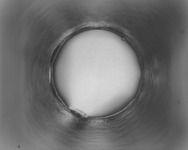 X0000076061221200610201939